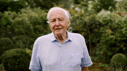 The image shows a portrait of Sir David Attenborough. He is an elderly gentleman with white hair and a light complexion, wearing a light blue button-down shirt. The background consists of lush green foliage, possibly a garden or park setting.