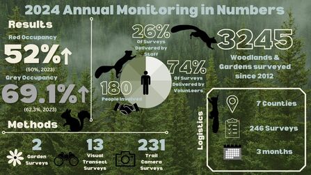 2024 Squirrel Monitoring Infographic