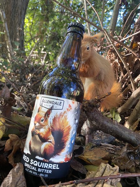 Bottle of Red Squirrel Ale in woodland with red squirrel in rear