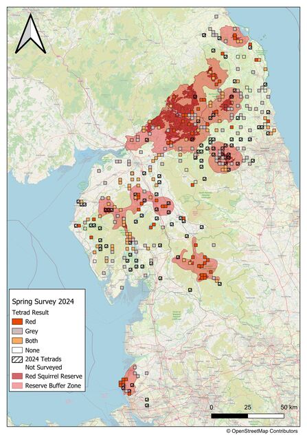 Squirrel distribution as of spring survey 2024 (data thanks to local volunteer groups, landowners and RSNE rangers).