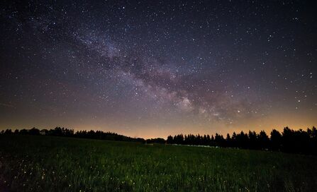 The Milky Way in the dark sky above a field of trees and grass. Image by Evgeni T.