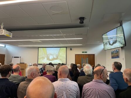 Swift Conference by Cathy Sharp