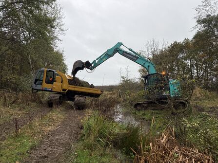 Digger at West Chevington. Image by Helen Walsh.