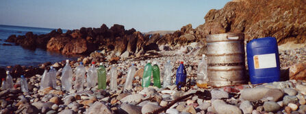 Plastic bottles standing amongst rocks on a beach. Image by George Stoyle.