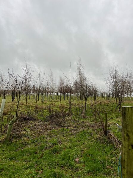 Allerton Project. Photo by Rosie Pearce.