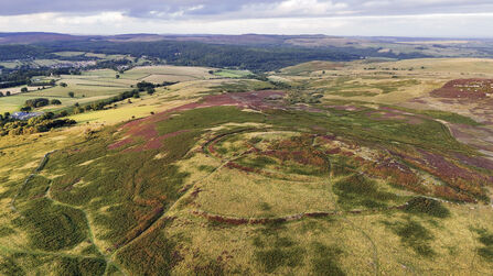 Aerial view of rolling countryside with patches of green, brown, and purple heathland, showing circular earthwork patterns on a hillside.