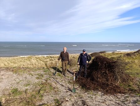 Two volunteers standing next to a large pile of Japanese Rose. Image by Fraser Smith.