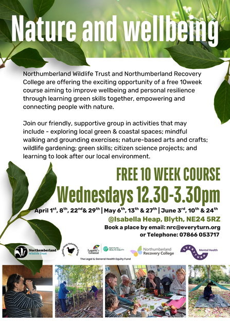 A promotional flyer titled “Nature and wellbeing” advertising a free 10‑week course focused on improving wellbeing through nature‑based activities. The text describes sessions including exploring green and coastal spaces, mindful walking, grounding exercises, arts and crafts, wildlife gardening, and green skills. It lists meeting times as Wednesdays from 12:30 to 3:30 pm, with specific dates from April to June, held at Isabella Heap in Blyth. Logos of partner organisations appear at the bottom.