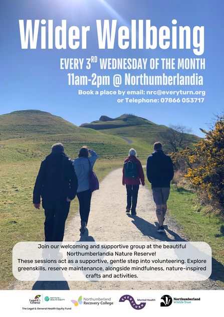 Promotional poster titled ‘Wilder Wellbeing’. It advertises a monthly event held every third Wednesday from 11am to 2pm at Northumberlandia. The background image shows four people walking along a grassy trail toward a large earth sculpture under a clear blue sky. The text explains that the sessions offer gentle volunteering, mindfulness, nature‑inspired crafts and activities. Contact details and partner organisation logos appear at the bottom.