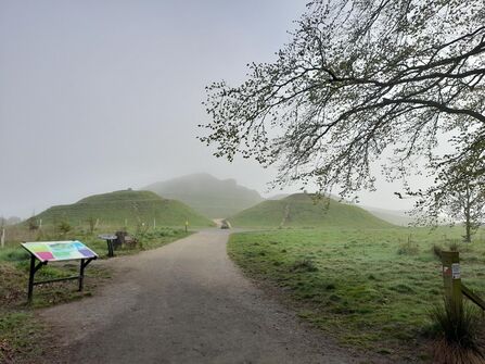 Northumberlandia in the mist. Image by Alex Reynolds.