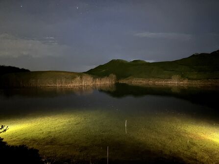Northumberlandia by torchlight. Image by Alice McCourt.
