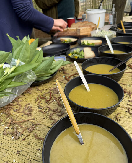 Bowls of soup in a row. Image by Jo Burke.
