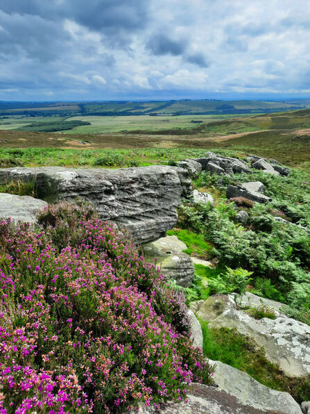Caudhole Moss, Simonside. Image by Duncan Hutt.