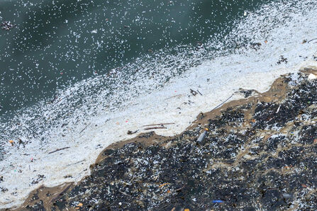 Shoreline covered with dense white plastic pellets and debris, with polluted water and dark waste accumulation along the water’s edge.