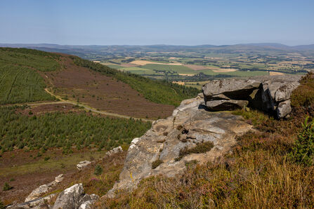Panoramic view from a rocky hillside overlooking patchwork fields, rolling hills, and forested slopes under a clear blue sky.