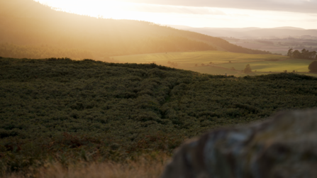 Sunset from Lordenshaws. Image by The Wildlife Trusts.
