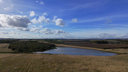 West Chevington grassland. Image by NWT.
