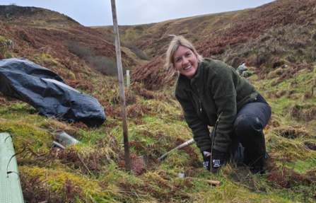 A woman tree planting on moorland.
