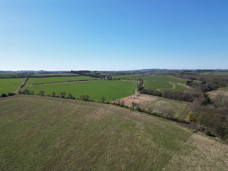 Aerial view of open countryside with green fields, hedgerows, scattered trees, and a small farmstead under a clear blue sky.