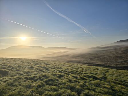 Misty landscape of Whitelee Moor.