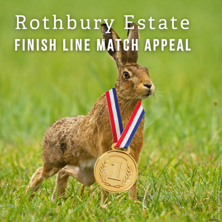 Hare standing in a field with a medal around its neck. Image by TWT.