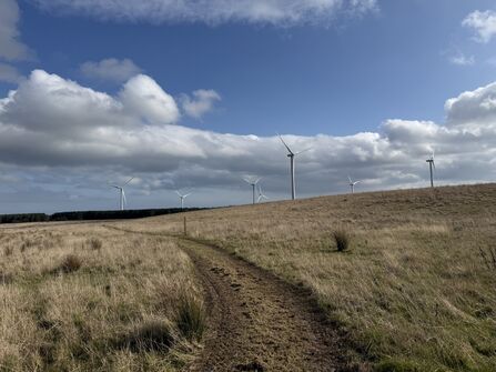Path through West Chevington site. Image by Helen Walsh.