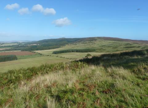 Bewick Moor - NWT