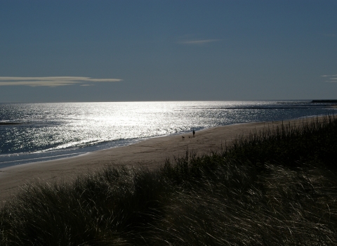 Annstead Dunes - Duncan Hutt