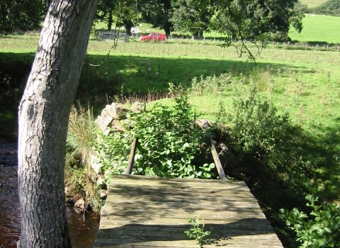 Grasslees Burn Wood