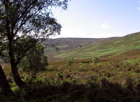 Harbottle Crags - Duncan Hutt