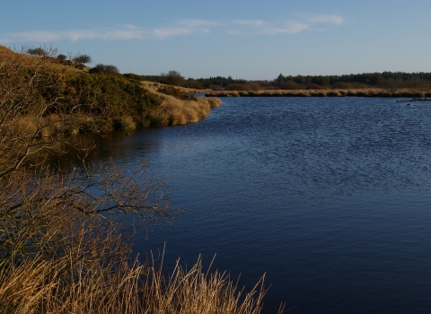 Holburn moss - Duncah Hutt