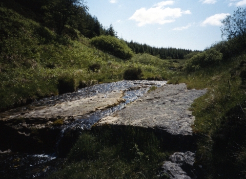 Mill burn - Duncan Hutt