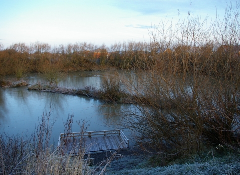 Newsham Pond