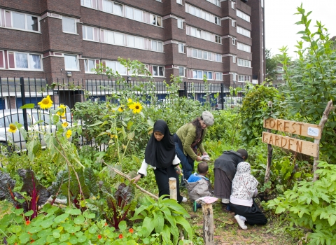 Community garden - Paul Harris/2020VISION