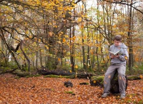 Reading in leaves - Katrina Martin/2020VISION