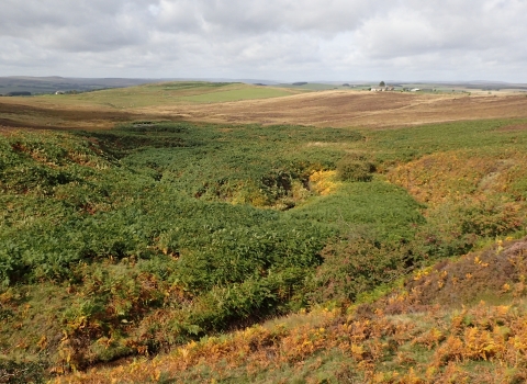 Benshaw Moor - Duncan Hutt