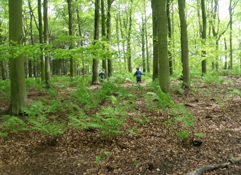 Northumberlandia wood children - Christine O'Neil