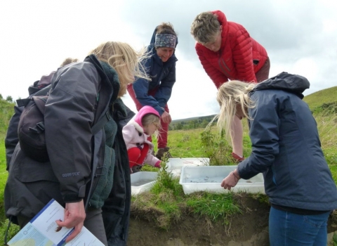 2018 Bioblitz - Maria Hardy