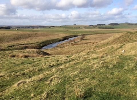 Rede, near Smoutel Ford - Maria Hardy