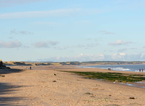 A photograph of Cresswell Foreshore, a sandy beach with sand dunes in the distance and clear blue waters, with waves crashing on the beach and figures walking. 