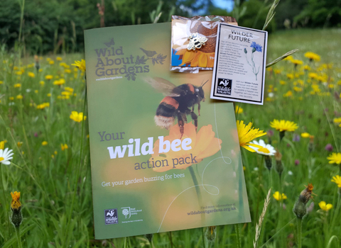 Wild bee pack tile