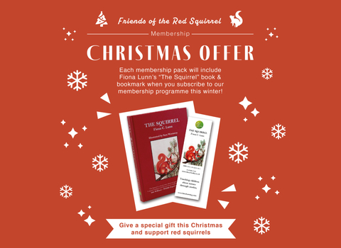 FoRS xmas offer tile 2
