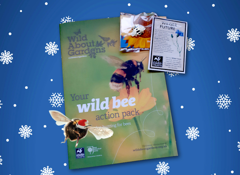 Wild bee pack tile Christmas 2021