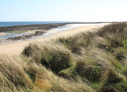 Annstead Dunes