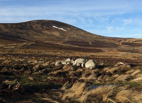 Northumberland Peat Partnership. Image by Ella Farley.