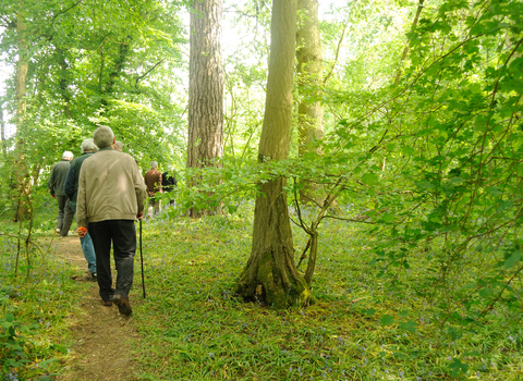 People walking on a path through a green forest, surrounded by trees and plants, with text reading “Nature and Wellbeing”.
