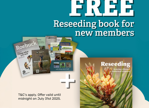 This image is an advertisement for the Northumberland Wildlife Trust. It shows a collection of wildlife-themed publications and a book titled "Reseeding: Restoring wildness at Kielderhead Wildwood."