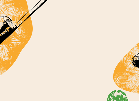 Illustrated bird perched on a diagonal branch and a badger, set against abstract orange and green shapes on a light background.
