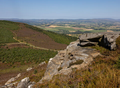 Panoramic view from a rocky hillside overlooking patchwork fields, rolling hills, and forested slopes under a clear blue sky.