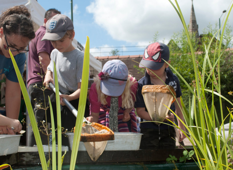 Children pond dipping - Amy Lewis